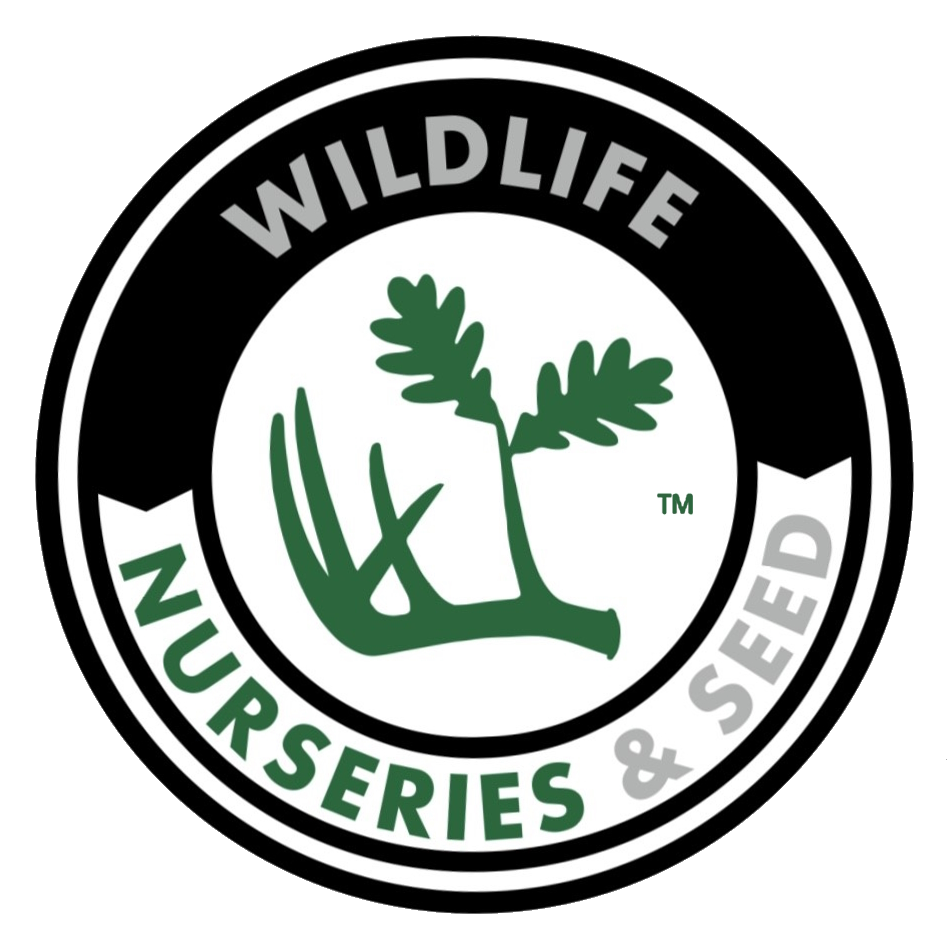 Whitetail Forage Greens Wildlife Nurseries & Seed